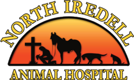 North Iredell Animal Hospital