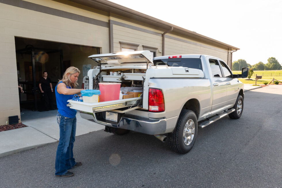Large Animal Service North Iredell Animal Hospital