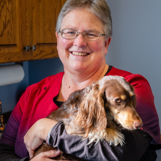 About Us | North Iredell Animal Hospital
