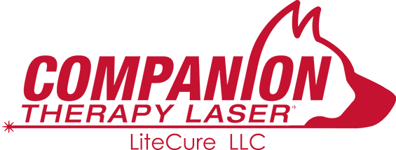 companion-therapy-laser