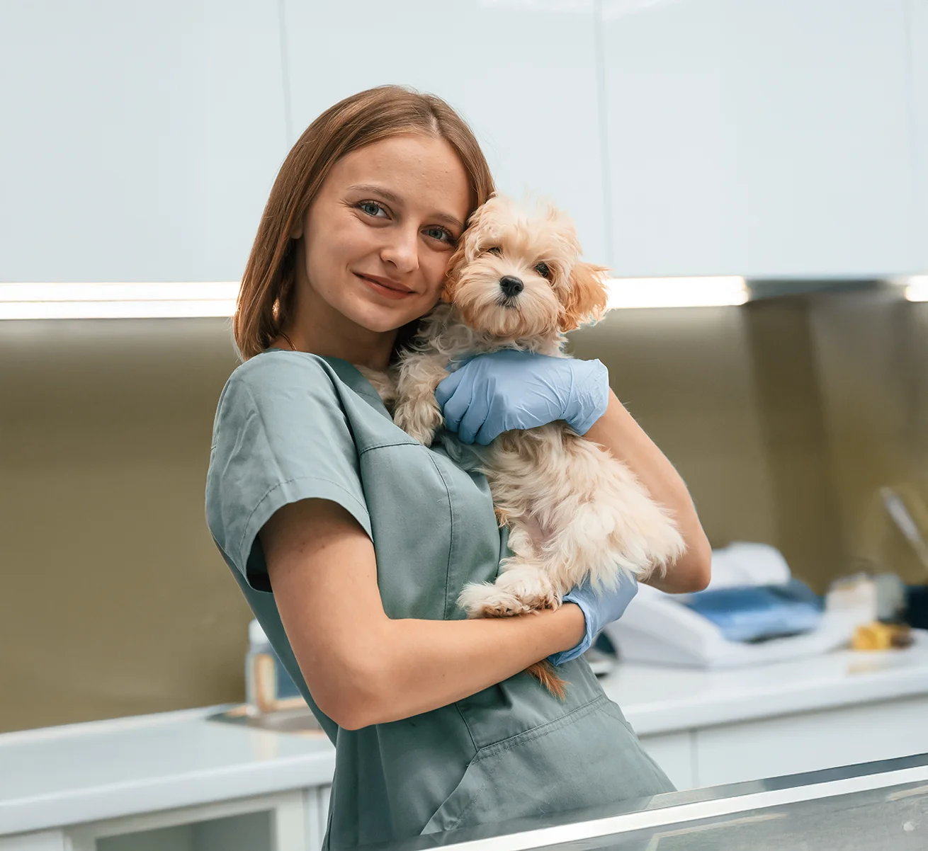 a veterinary assistant holding a dog.