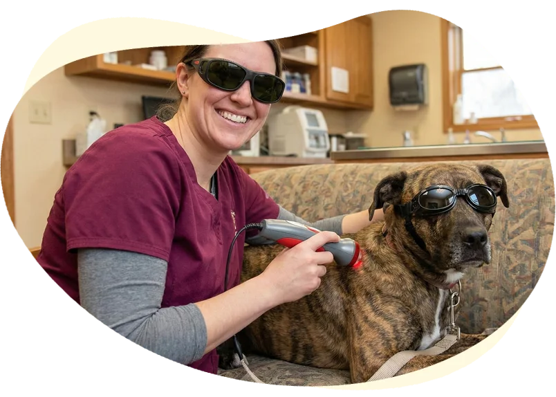 North Iredell Animal Hospital