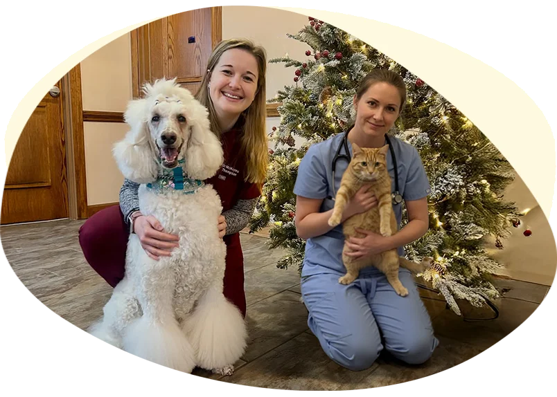 North Iredell Animal Hospital