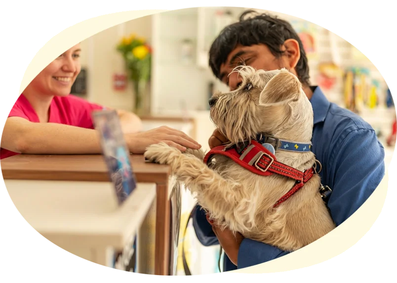 North Iredell Animal Hospital