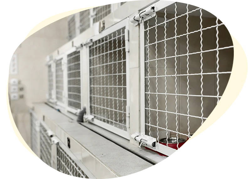 Veterinary hospital.