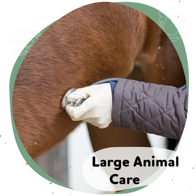 large-animal-care-label North Iredell Animal Hospital
