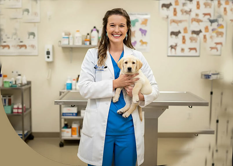 Veterinarian holding puppy