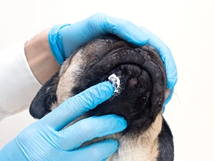 Allergies & Dermatology