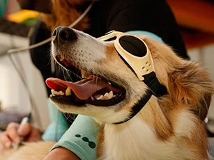 Laser Therapy